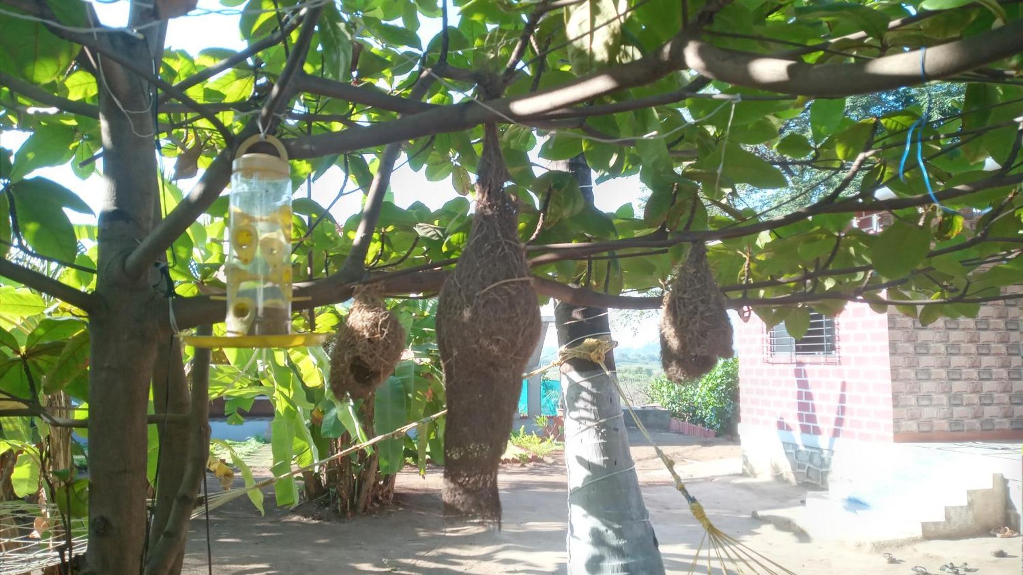 Coconut Village Resort آليباغ المظهر الخارجي الصورة
